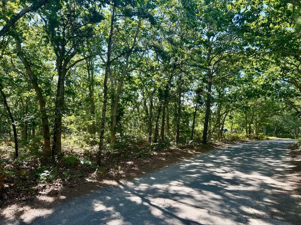 11 Boylston Drive Edgartown MA 02539