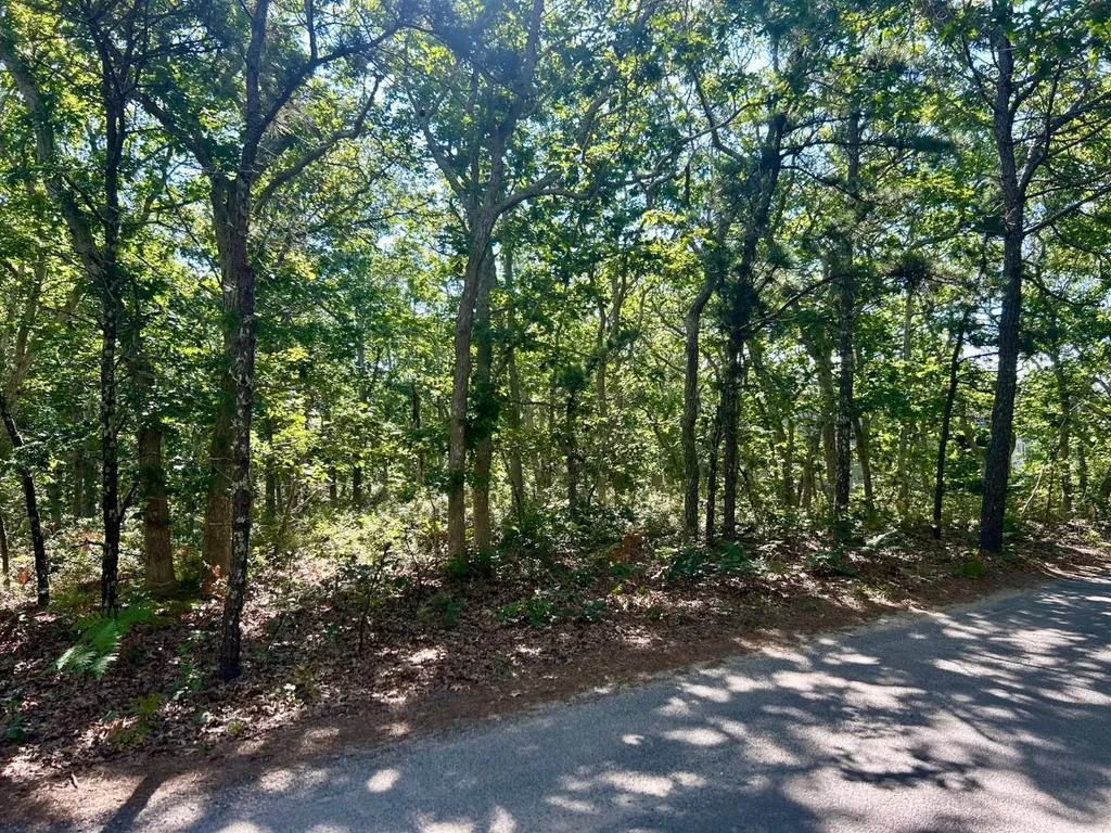 11 Boylston Drive Edgartown MA 02539