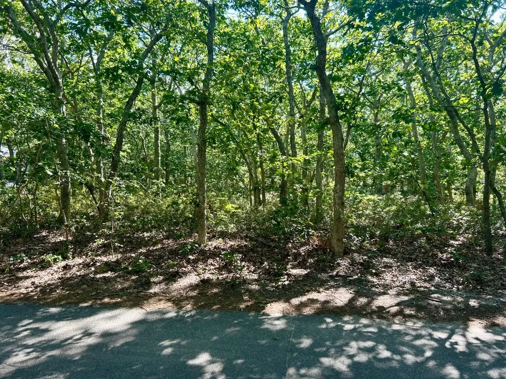 11 Boylston Drive Edgartown MA 02539