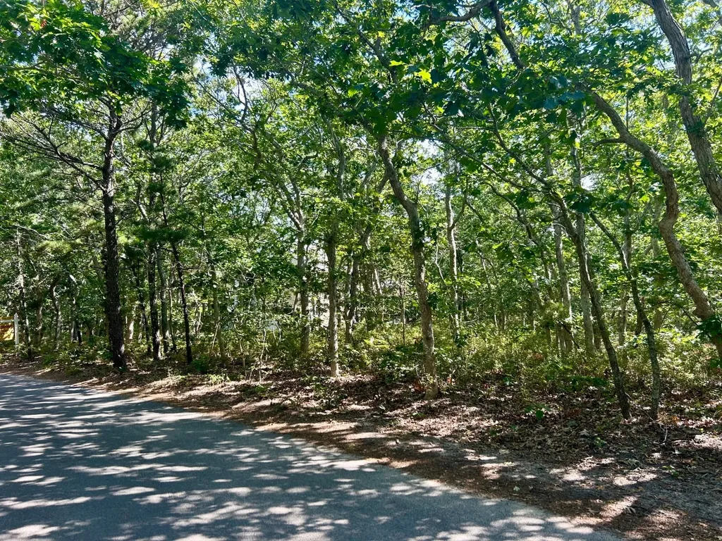 11 Boylston Drive Edgartown MA 02539