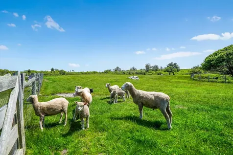 18 Spruce Gate Road Chilmark MA 02535