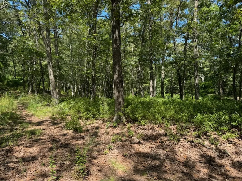 02 John Hoft Road Vineyard Haven MA 02568