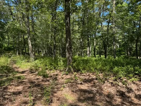 02 John Hoft Road Vineyard Haven MA 02568