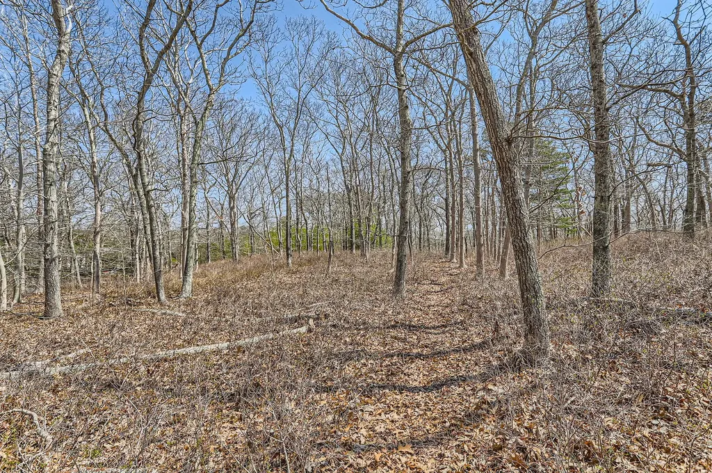 519 Edgartown Road Vineyard Haven MA 02568