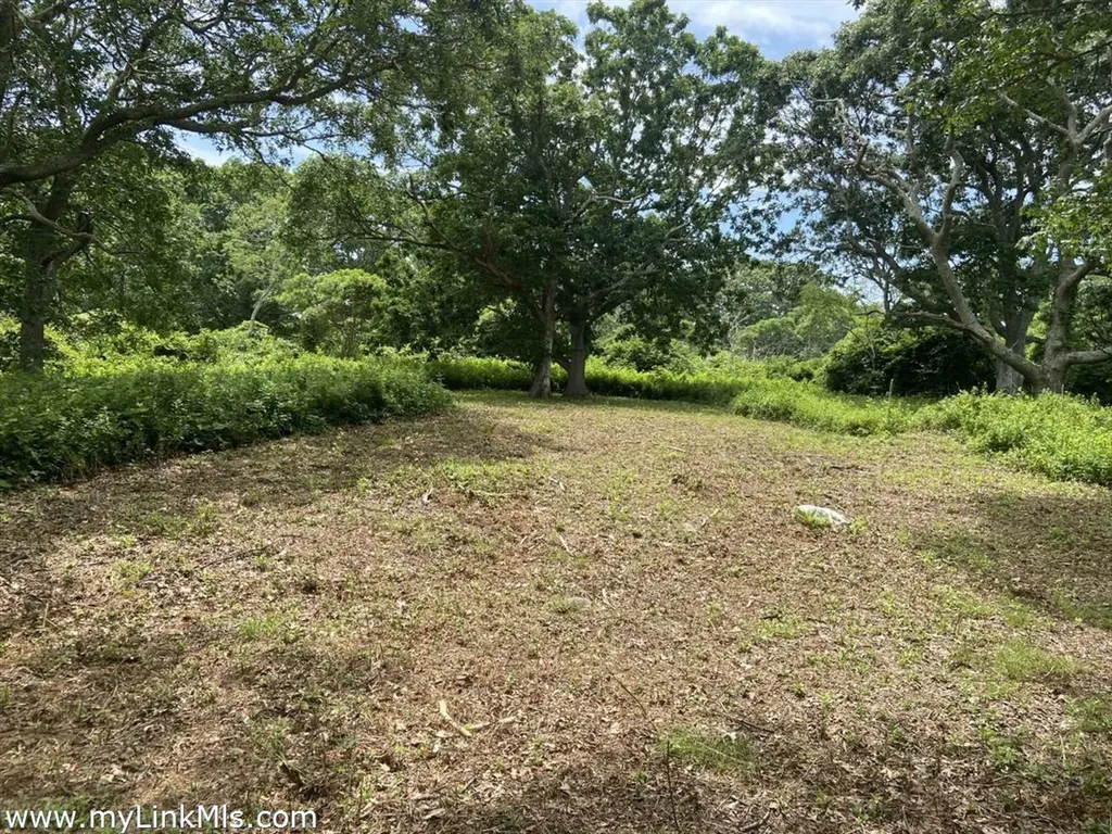 14 Ridge Road Aquinnah MA 02535