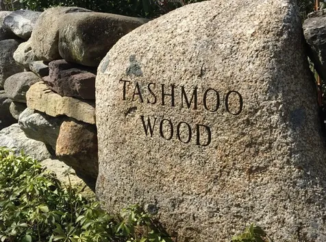 150 Cove Road Vineyard Haven MA 02568