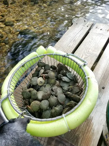 0 Worcester Avenue & Olinda Avenue Oak Bluffs MA 02557