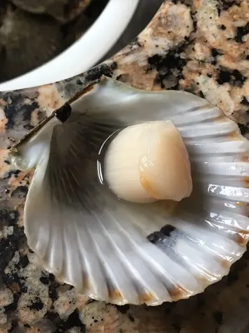 0 Worcester Avenue & Olinda Avenue Oak Bluffs MA 02557