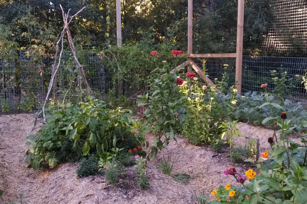 9 Sampson Avenue Edgartown MA 02539