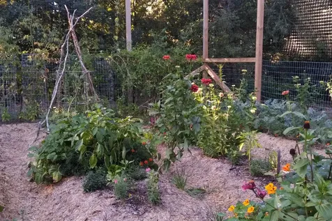 9 Sampson Avenue Edgartown MA 02539