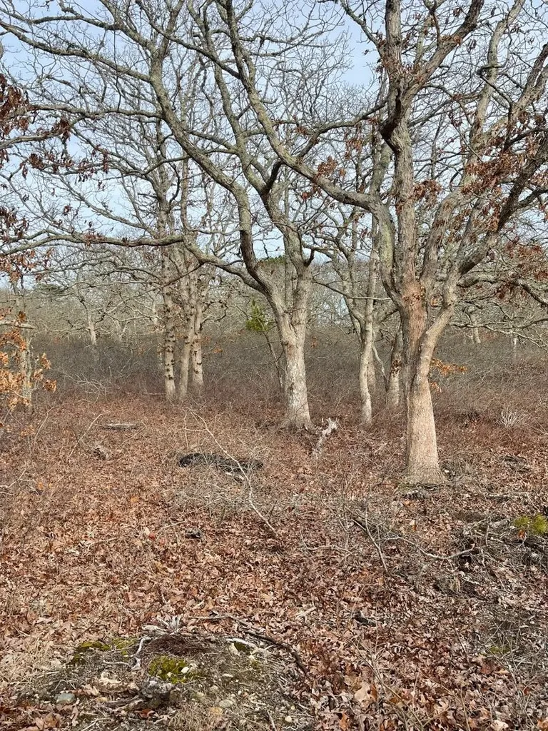 22 Bramble Path West Tisbury MA 02575