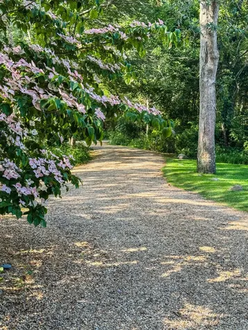 31 Josiah Sachem Way West Tisbury MA 02575