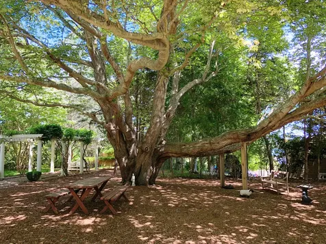 57 Hines Point Road Vineyard Haven MA 02568