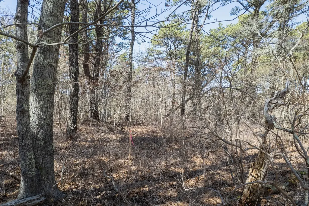 37 Bijahs Way Chilmark MA 02535