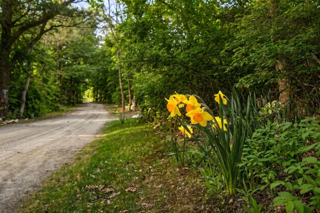 37 Bijahs Way Chilmark MA 02535