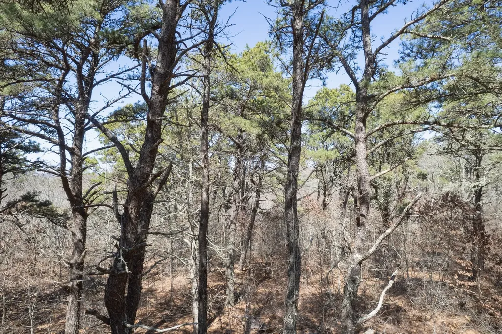 37 Bijahs Way Chilmark MA 02535