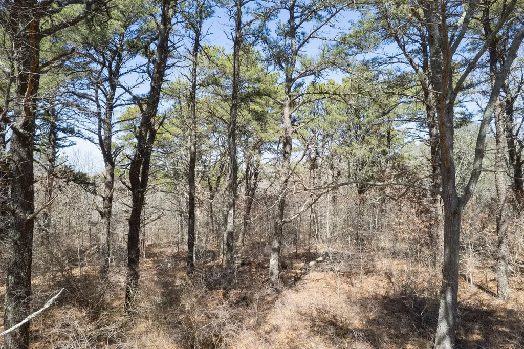 37 Bijahs Way Chilmark MA 02535