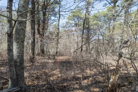 37 Bijahs Way Chilmark MA 02535