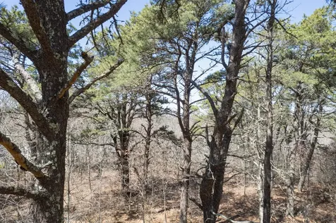 37 Bijahs Way Chilmark MA 02535