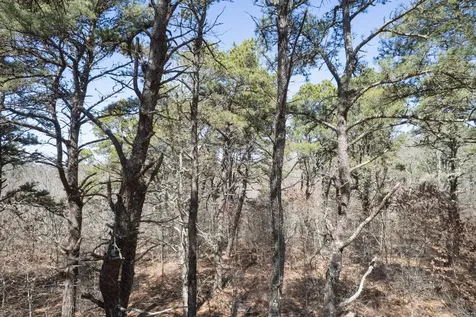 37 Bijahs Way Chilmark MA 02535