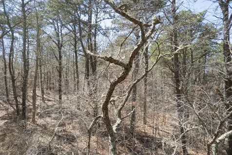 37 Bijahs Way Chilmark MA 02535