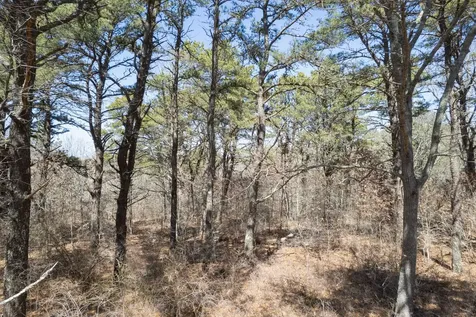 37 Bijahs Way Chilmark MA 02535