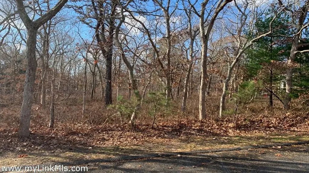 72 Windsor Drive Edgartown MA 02539