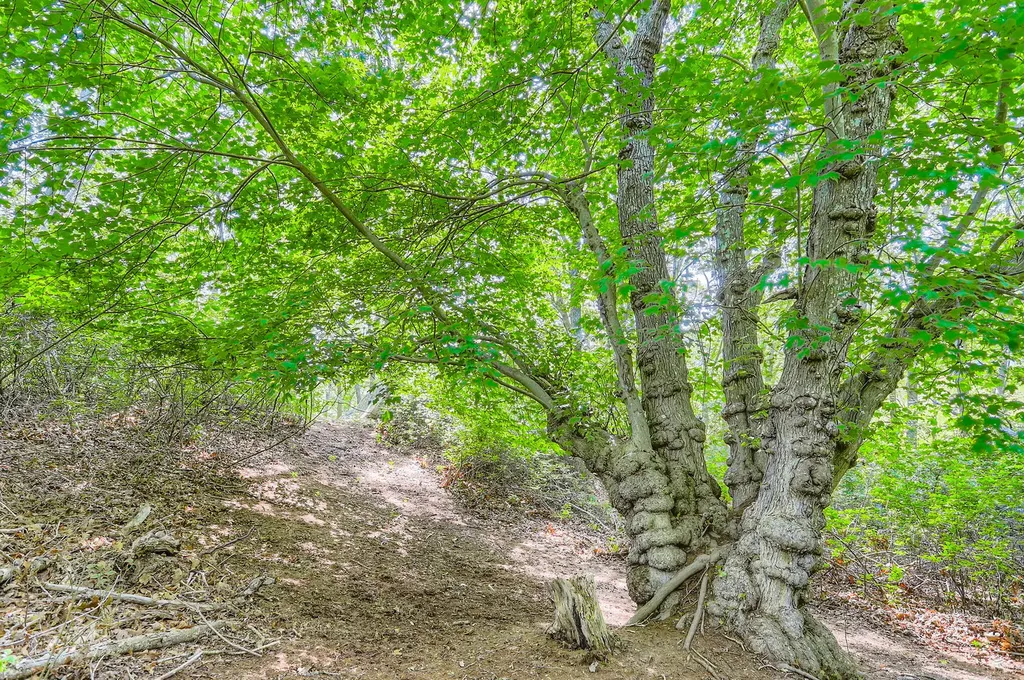 44 Cencelle Chilmark MA 02535