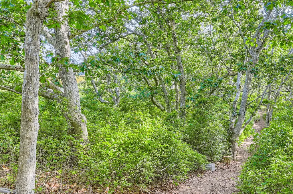 44 Cencelle Chilmark MA 02535