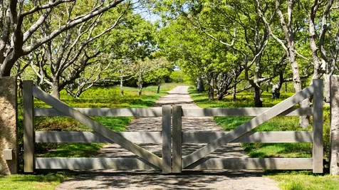 61 Butlers Cove Road Edgartown MA 02539