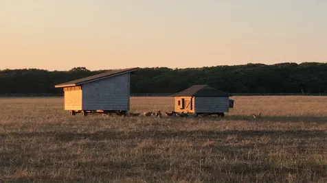 61 Butlers Cove Road Edgartown MA 02539