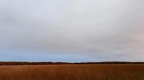 61 Butlers Cove Road Edgartown MA 02539