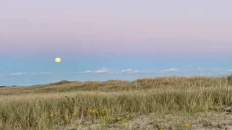 61 Butlers Cove Road Edgartown MA 02539