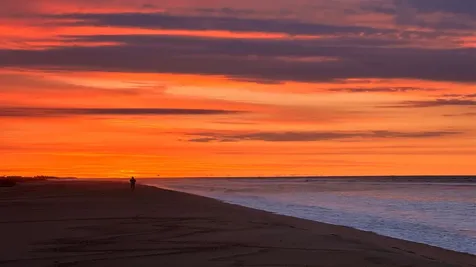 61 Butlers Cove Road Edgartown MA 02539