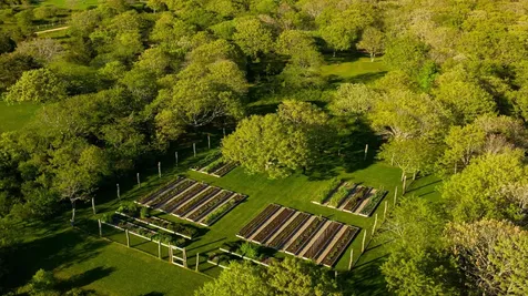 61 Butlers Cove Road Edgartown MA 02539