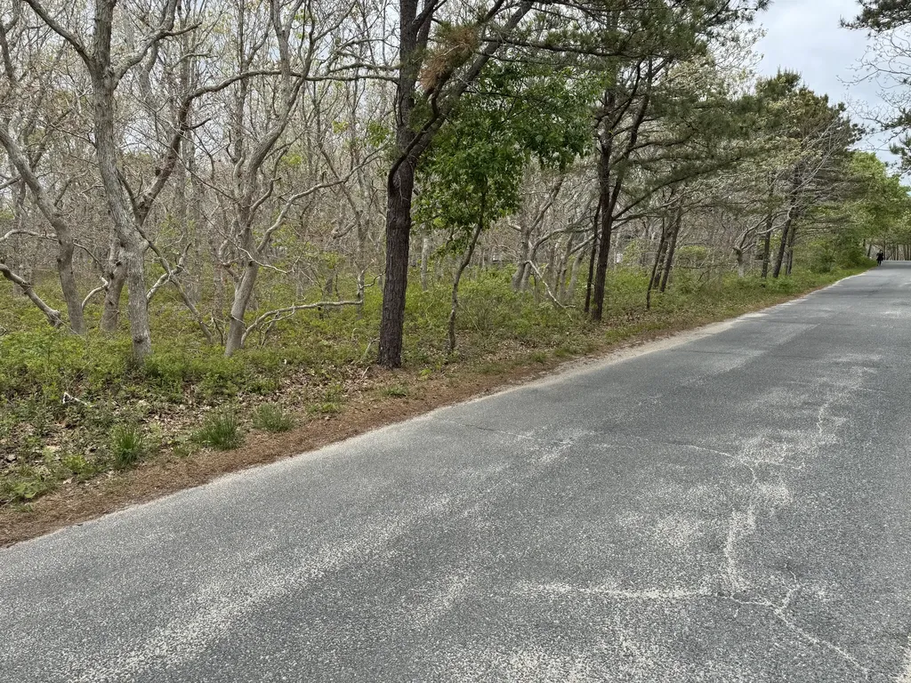 36 Boylston Drive Edgartown MA 02539