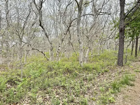 36 Boylston Drive Edgartown MA 02539