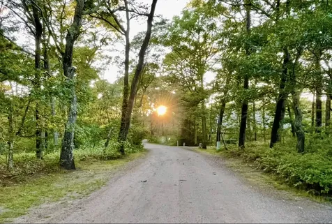 145 Sandpiper Lane Vineyard Haven MA 02568