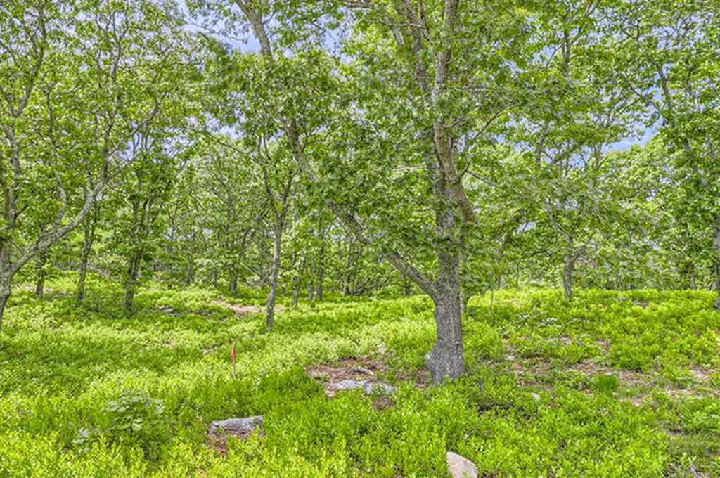 4 Cedar Lane Chilmark MA 02535