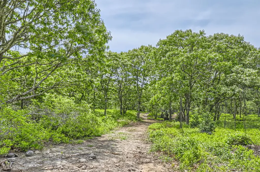 4 Cedar Lane Chilmark MA 02535