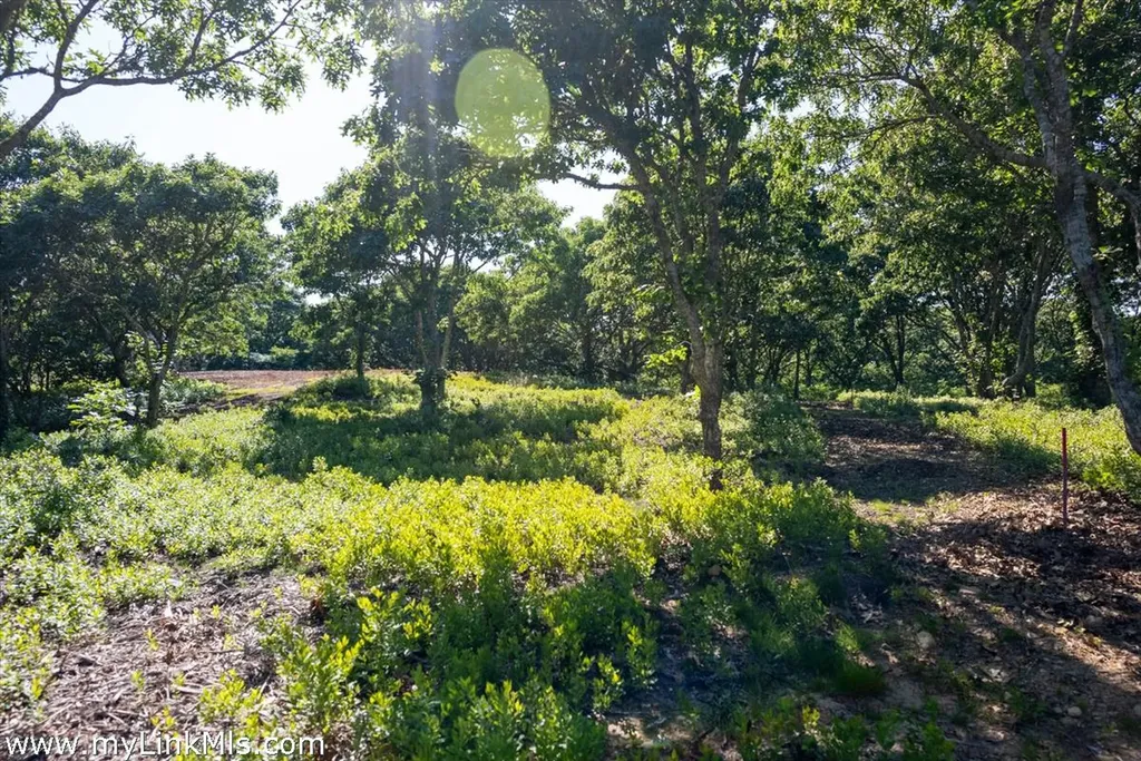 4 Cedar Lane Chilmark MA 02535