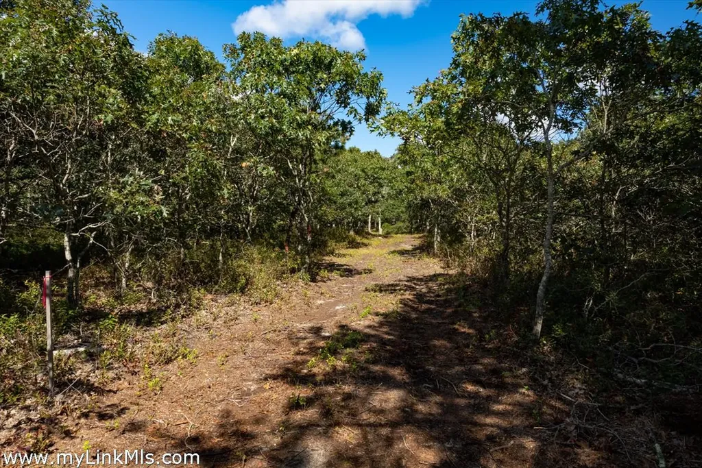 4 Cedar Lane Chilmark MA 02535