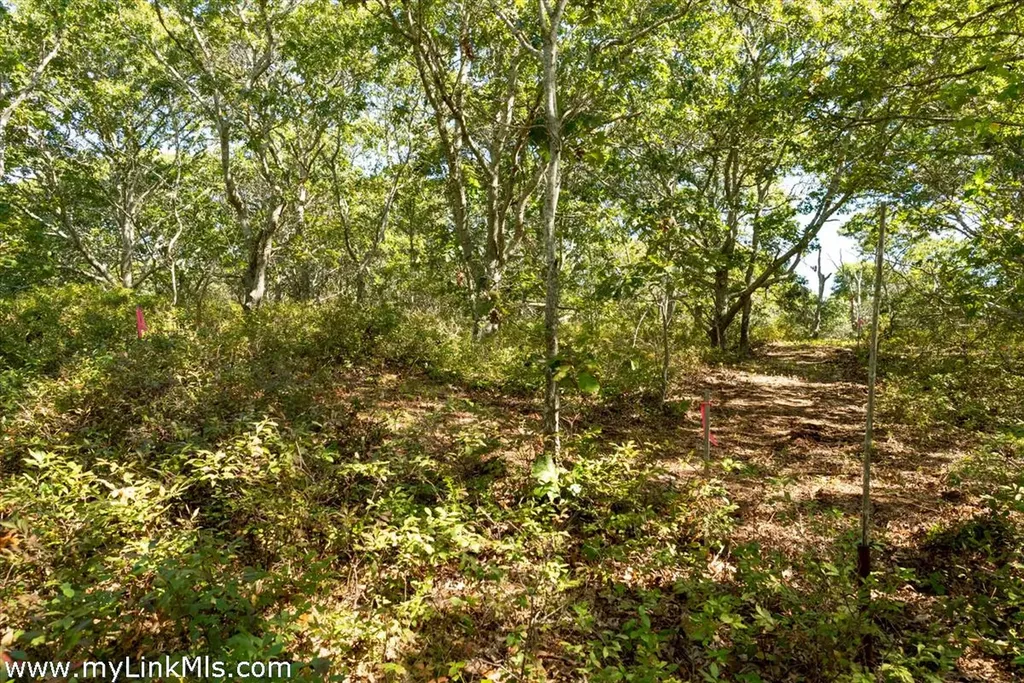 4 Cedar Lane Chilmark MA 02535