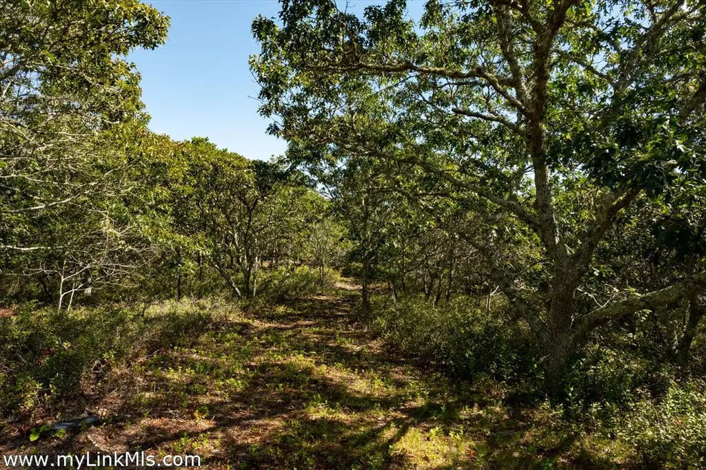 4 Cedar Lane Chilmark MA 02535