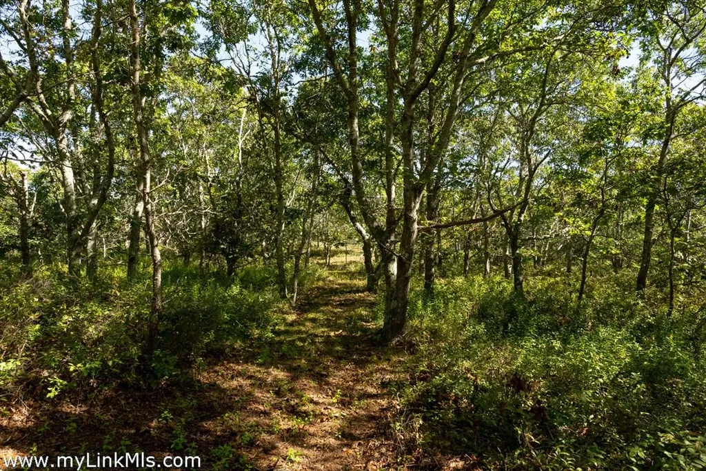 4 Cedar Lane Chilmark MA 02535