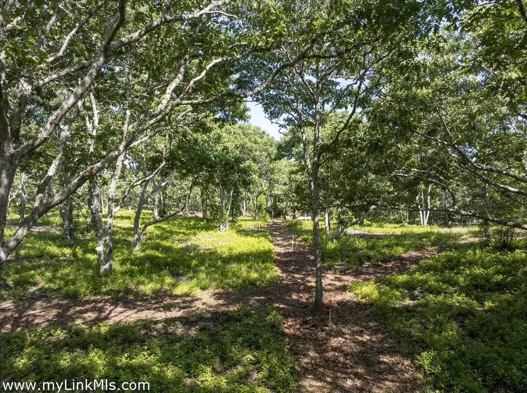4 Cedar Lane Chilmark MA 02535
