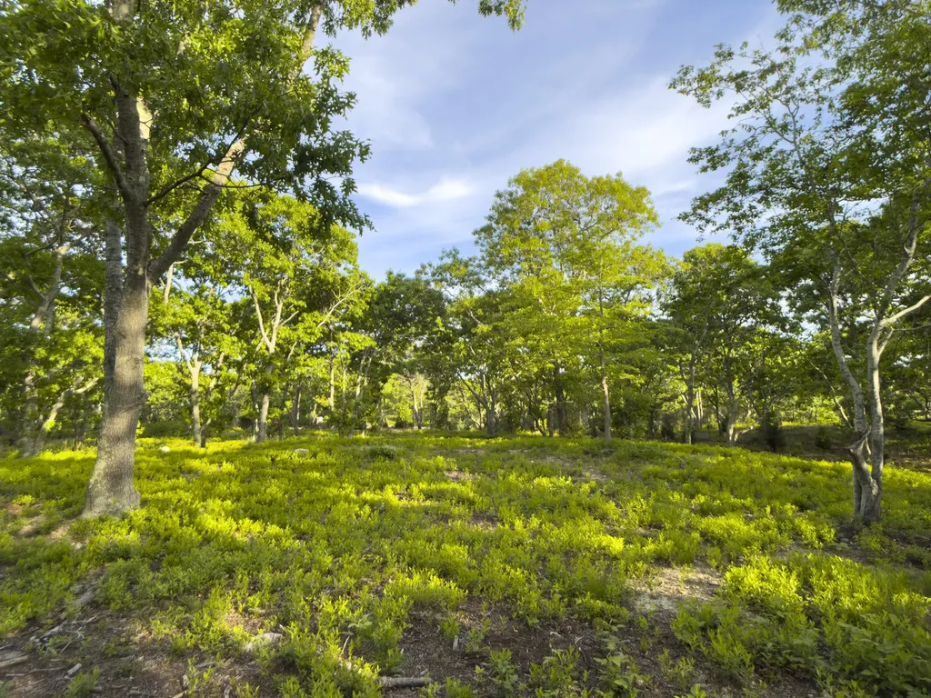 4 Cedar Lane Chilmark MA 02535