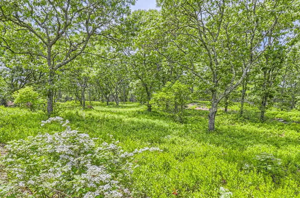 4 Cedar Lane Chilmark MA 02535
