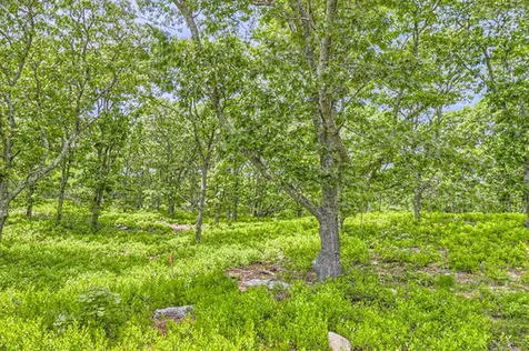 4 Cedar Lane Chilmark MA 02535