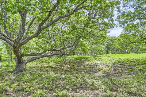 4 Cedar Lane Chilmark MA 02535